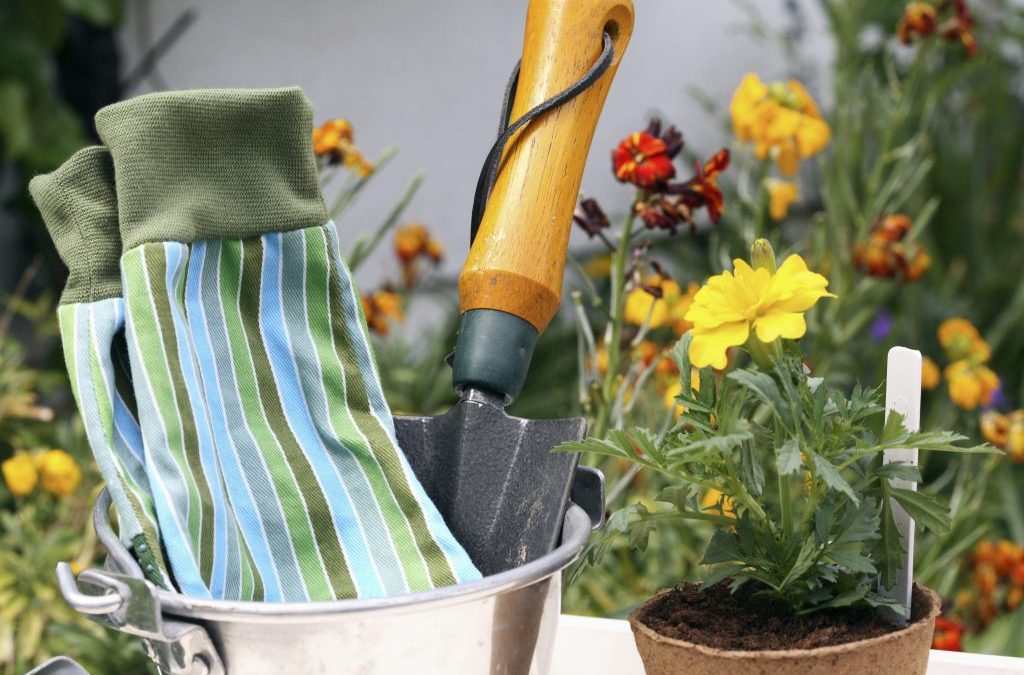 Essential oils and gardening