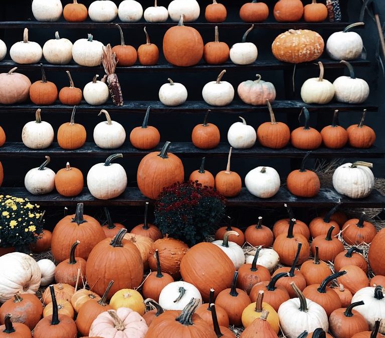 How to Recycle Halloween Pumpkins