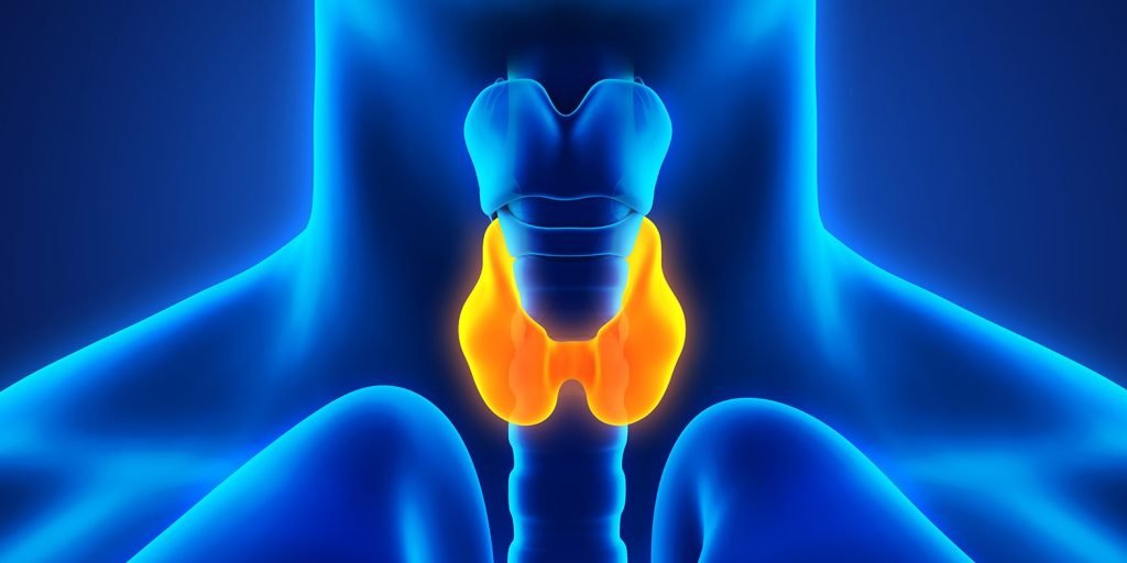 Understanding Thyroid Disease