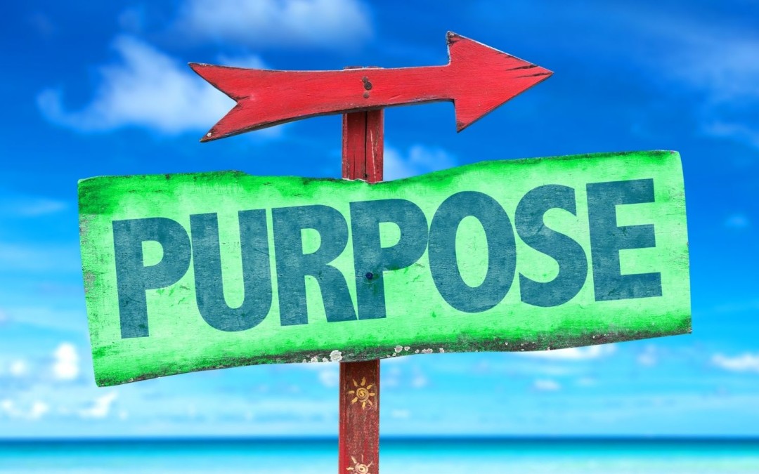 Knowing your Purpose Makes You Resilient