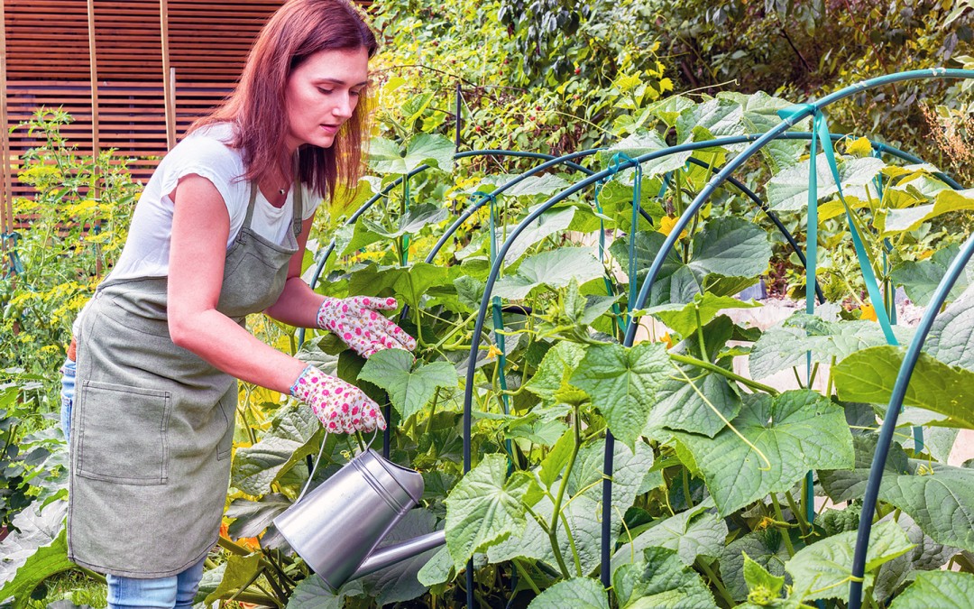 Use Gardening to Heal Your Autoimmune Disease