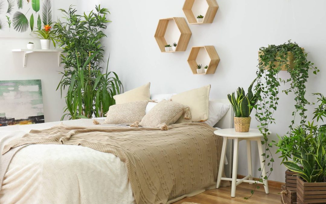 Stylish bedroom oasis with a floor bed, wooden accents, and plenty of plant life for a serene slumber.