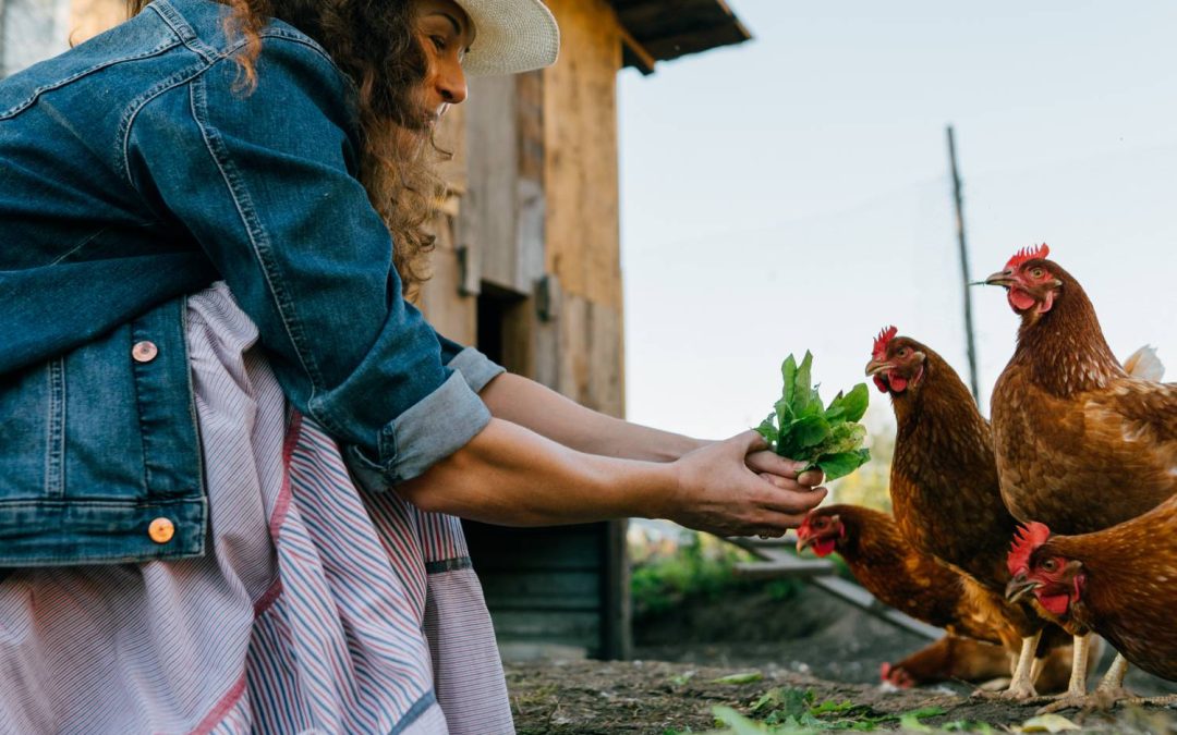 How Homesteading Makes Clean Eating Simple