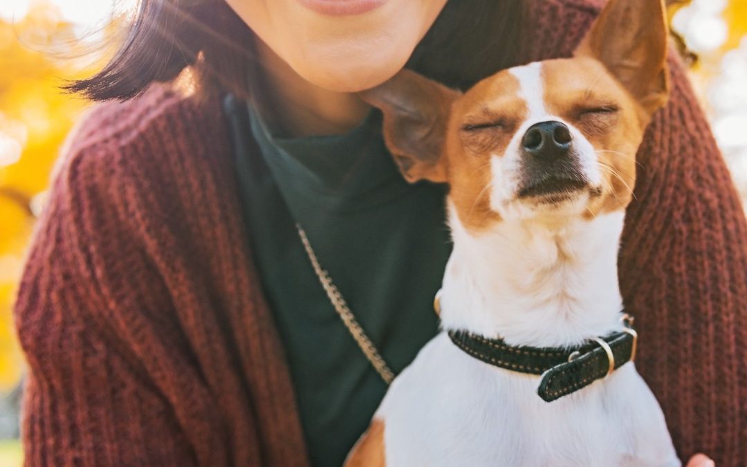 A close-up view shows a smiling woman in a burgundy sweater holding her small dog. Fall leaves appeared blurry behind them.