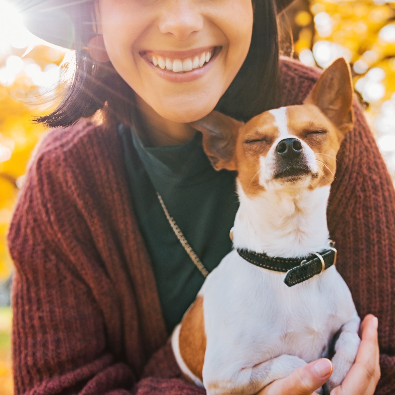 A close-up view shows a smiling woman in a burgundy sweater holding her small dog. Fall leaves appeared blurry behind them.